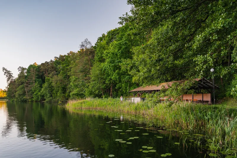 wiata nad jeziorem na skraju lasu