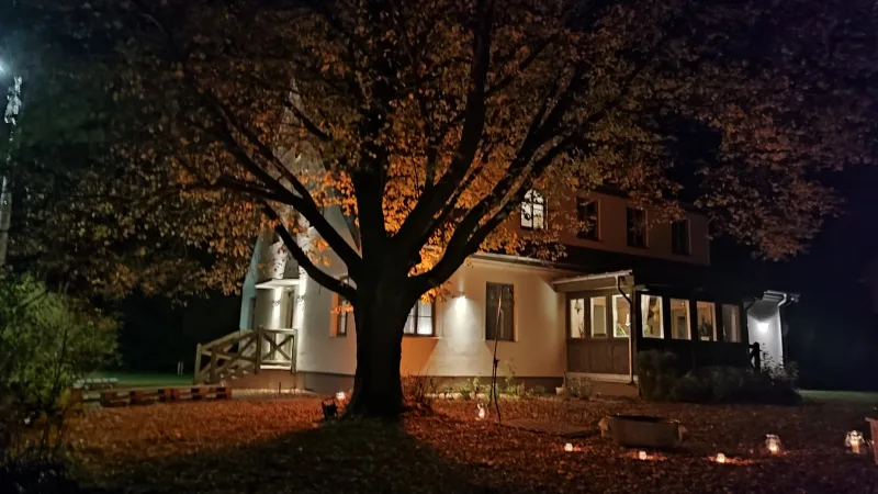 zdjęcie nocne - widok na oświetlony budynek, przed nim jesienne drzewo